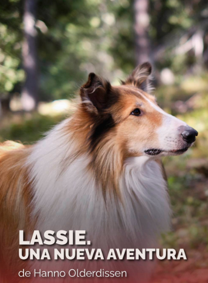 Imagen de Lassie. Una nueva aventura (subtitulada)