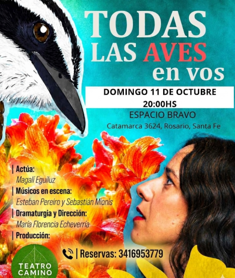 Imagen de Todas las aves en vos