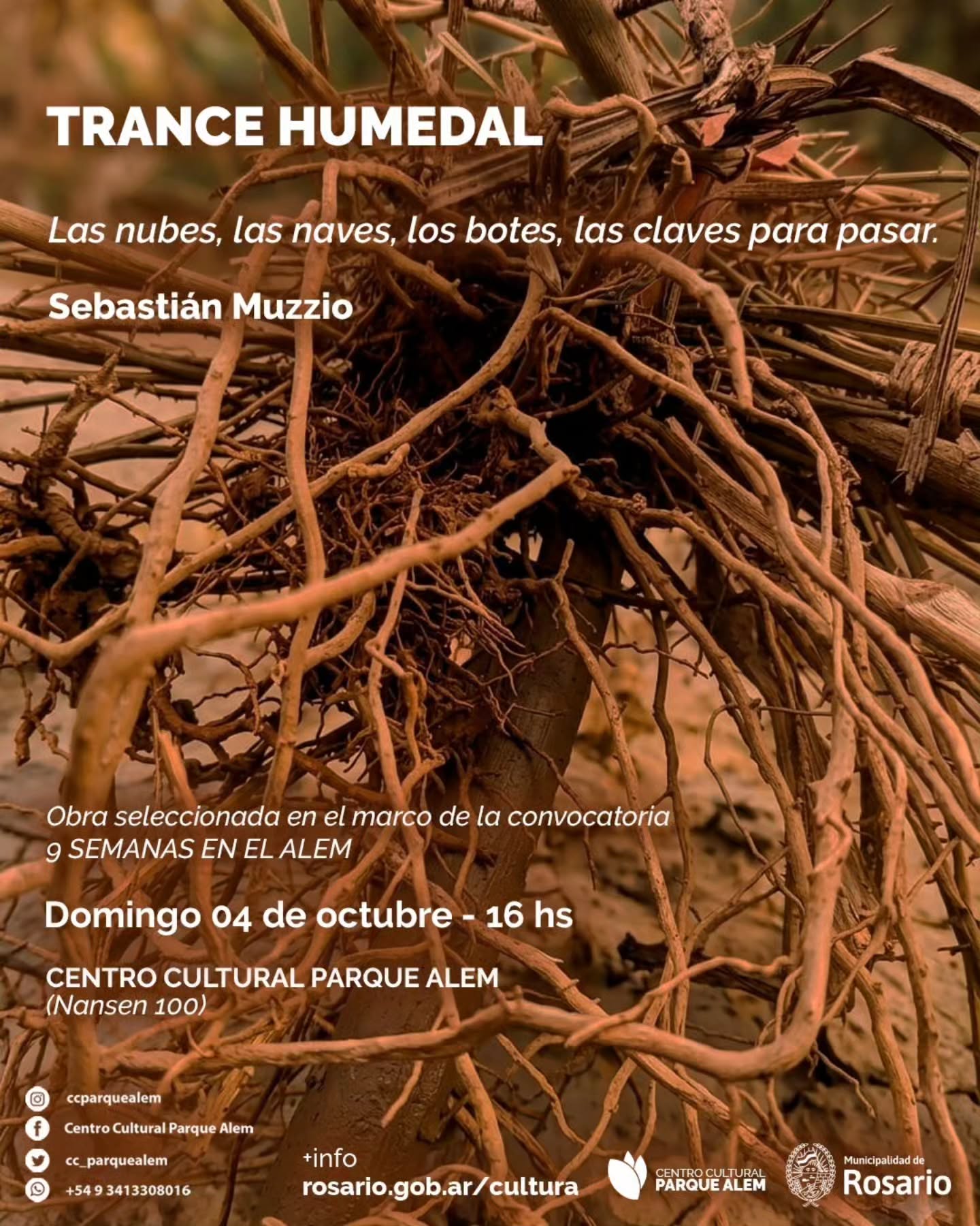 Imagen de Trance humedal
